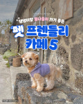 펫 프렌들리 카페 5