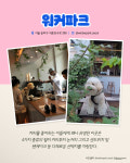 펫 프렌들리 카페 5