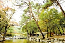 [강원도 평창] 붓꽃섬·솔섬서 누리는행복한 표류 24시
