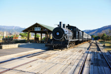 [곡성 섬진강기차마을]강변 따라 울려퍼지는 칙칙폭폭 꽥~