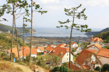 [남해독일마을]영화 국제시장실제 주인공들이 둥지 튼 마을