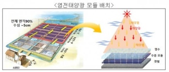 한전, 100kW급 염전 태양광 발전시스템 구축… 전기와 소금 동시 생산