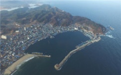 [박찬일 셰프의 맛있는 경제] 명태잡이 배 사라진 거진항