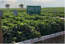 CJ제일제당, 지구 환경 보호 위해 아마존 대두 구매 중단