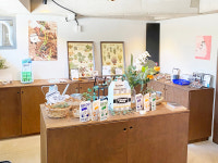 젊어진 강릉, 감성의 꽃이 피었습니다