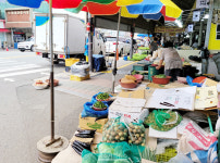 Foto aus Naver-Suchergebnissen 3