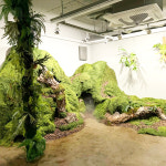 [라이프 - 신다솜] 고만고만한 식물 인테리어? 세련되고 톡톡 튀는 봄마중