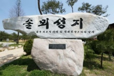 충남도, 교황 충남 방문 지원체제 본격 가동