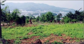그린벨트 규제 완화, 상·공업시설 허가