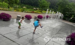 용인농촌테마파크에서 시원한 여름 보내세요