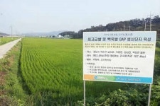 용인시, 지역 대표브랜드 백옥쌀 생산단지 심사