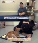 동물농장 배다해, 거식증 고양이 준팔이 입양 훈훈