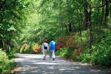 역사 속 광복의 꿈 장소, 망우리공원