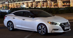 맥시마 8세대, 풍부해진 기술력 이 정도 일 줄...