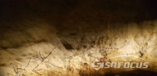 한,불 수교 130주년 라스코 동굴벽화