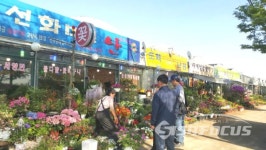 새싹이 나기 전에 화분 분갈이해야...
