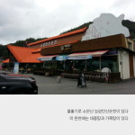 은빛 갈대들이 나폴대는 충주 비내섬