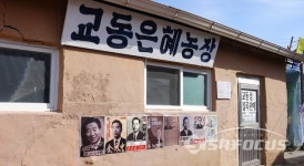 강화 교동도 이야기...쓸쓸한 대룡시장