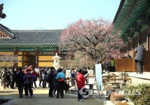 봄이 온 통도사