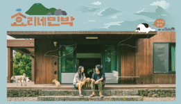 효리네 민박 이상순-이효리 집에 누군가가 놀러온다!