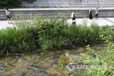 서울로 7017따라 청계천까지