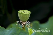 달리는 의왕 레일바이크와 낭만 가득 왕송호수 풍경