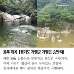 시사포커스 선정, 여름휴가에 딱인 계곡 7선!