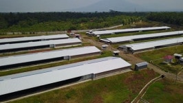 하림, 인도네시아 사료-종계 시장 본격 진출