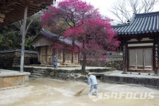 구례 화엄사... 아름다운 봄날 풍경