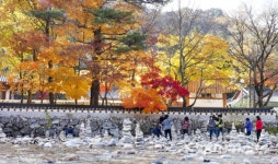 [포토] 설악산 백담사, 가을 속에 추억만들기 바쁜 관광객