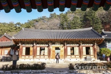 [포토] 천년고찰 홍천 수타사‧공작산생태숲 겨울문턱 시간여행