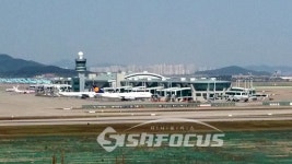 술 마시고, 정비 미흡하고 조종사 및 항공사들 무더기 과징금