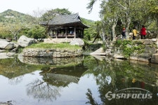 [포토] 고산 윤선도가  싯귀를 읊던 보길도 세연정에 푸르름이