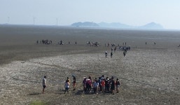 경기도청소년수련원, 12일~14일 노을지는 서해마을 캠프