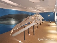 제주특별자치도, 민속자연사박물관, 흥미가득한 제주 바다이야기 제주바다전시관 개관