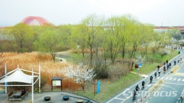 [포토] 연녹색으로 물든 강서습지생태공원에서 봄을 즐겨보세요