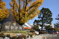 연천군,  모든 군민 대상으로 군민위해 안전보험 가입