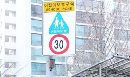 민식이법 덕에 스쿨존 사고 절반 감소?…아직 개학 안 했는데