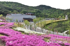경주 화랑마을, 8일부터 부분 개장