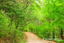[포토] 김포 문수산 산림욕장에서 숲속 향기 맘껏 마시며...