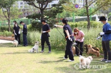 고양시, 동물보호센터 7월1일 공식 개방...시민 참여 확대 운영 예정