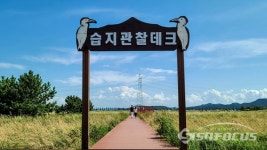 [포토] 안산 대부바다향기테마파크에 가을향기 풀풀