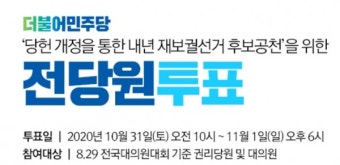 더불어민주당, 당헌개정 전당원 투표 1일 오후 6시 종료