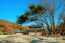 [포토] 천년역사 간직한 신라고찰 만수산 무량사