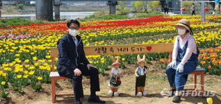 파주市 금촌2동 희망일자리사업 활용, 공릉천에 튤립꽃밭 조성