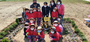 파주市 금촌2동 희망일자리사업 활용, 공릉천에 튤립꽃밭 조성