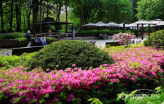 [포토] 양재 시민의 숲, 어르신 힐링 장소로 최적...