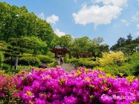 [포토] 파주 율곡수목원의 5월, 자연이 주는 아름다운 조화