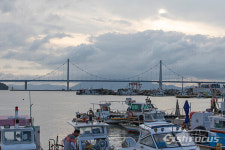 갯장어 풍어 이루는 아름다운 녹동항