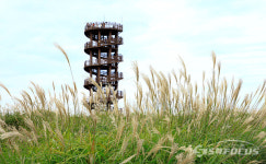 [포토] 경기 시흥갯골생태공원 가을 나들이 힐링 명소로 각광